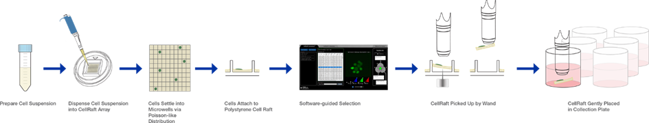 flask culture conditions flask culture conditions