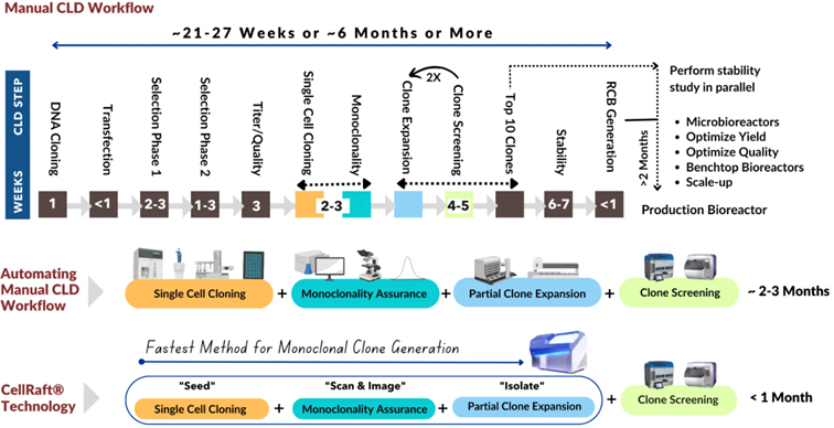 DCL Workflow DCL Workflowt