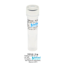 FGF2-G3 (human) growth factor, LSR-101