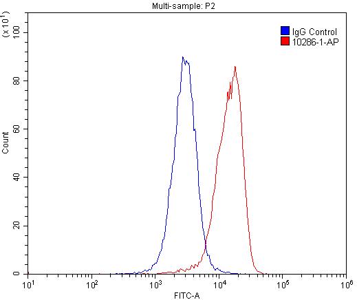 uPAR Polyclonal antibody