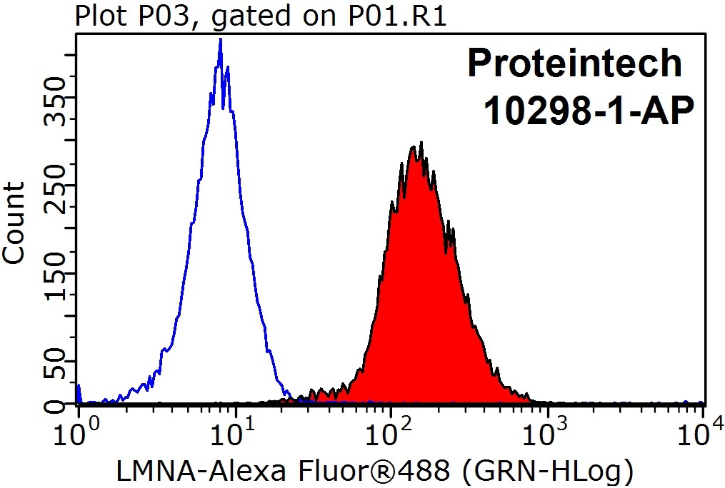 Lamin A/C Polyclonal antibody
