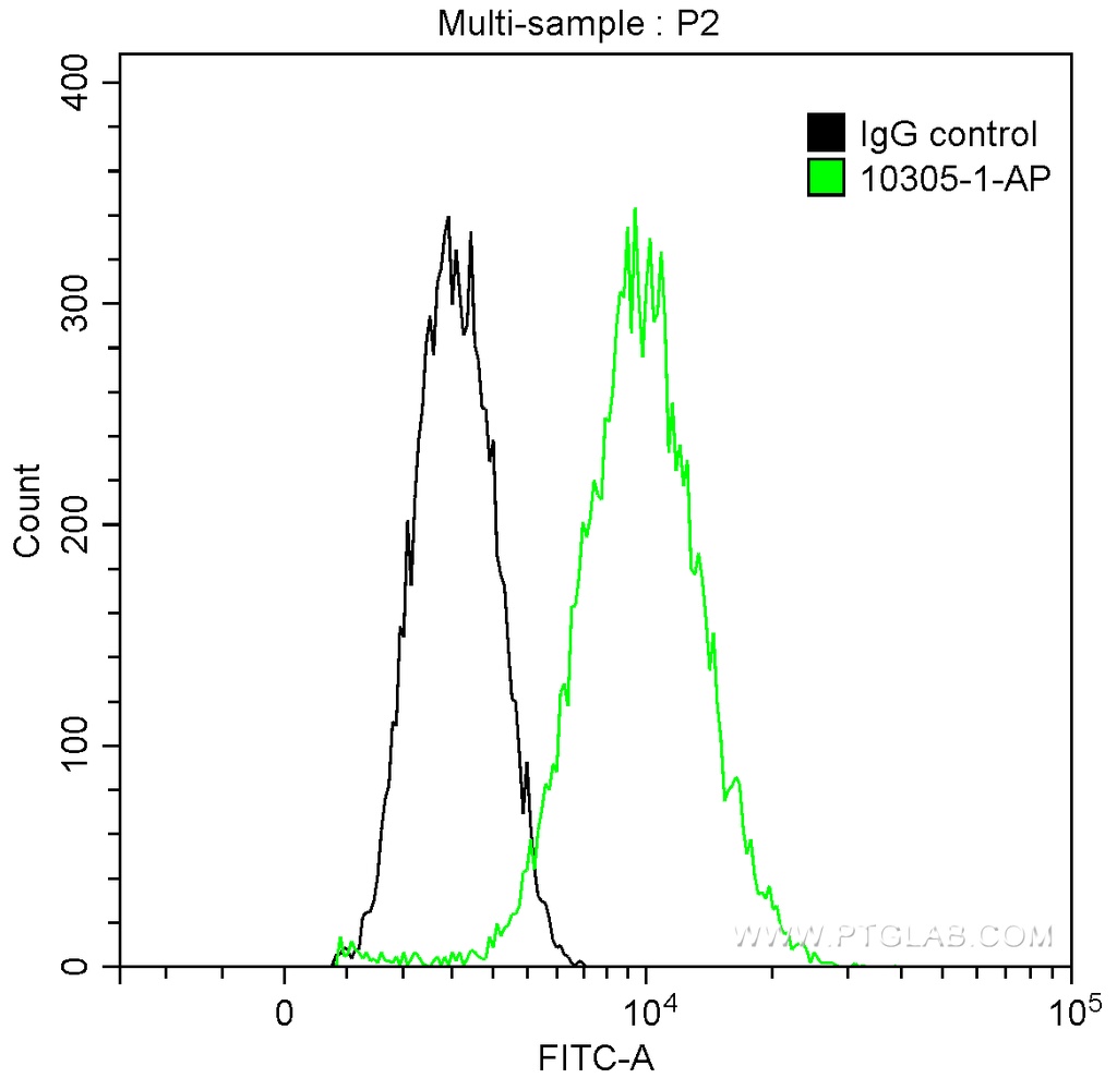 PLK1 Polyclonal antibody