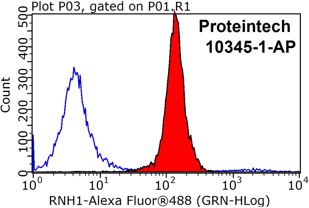 RNH1 Polyclonal antibody