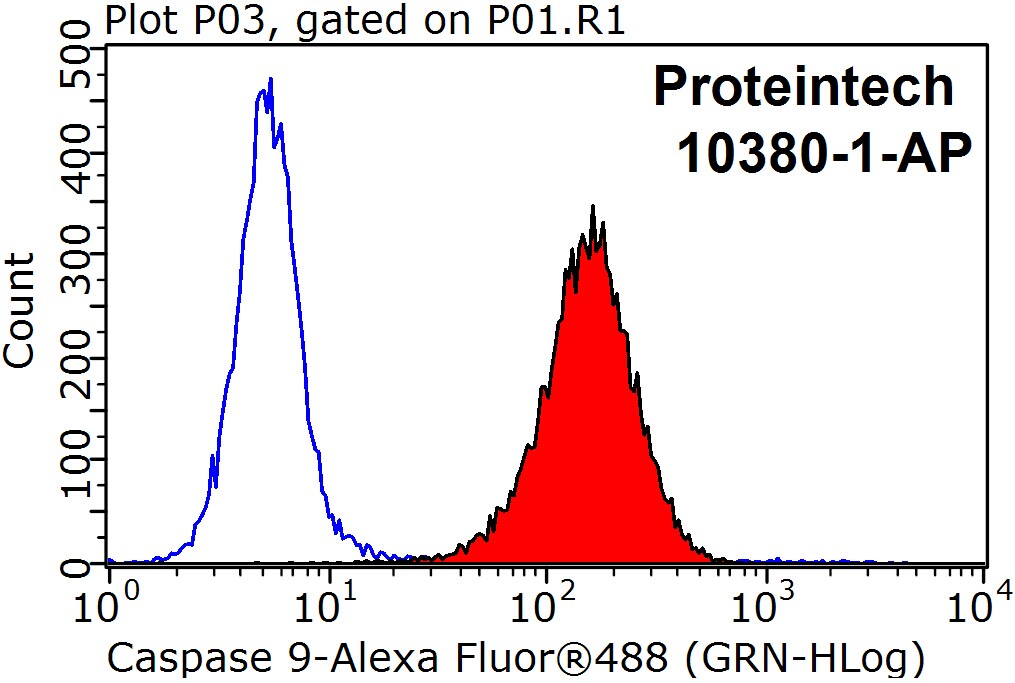 Caspase 9/p35/p10 Polyclonal antibody