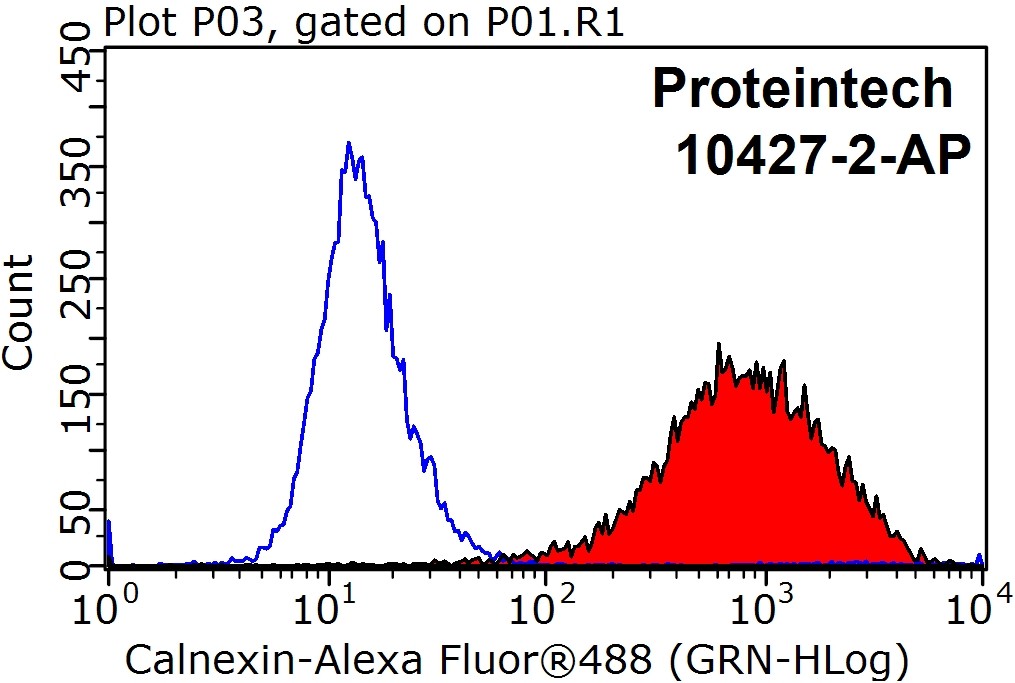 Calnexin Polyclonal antibody