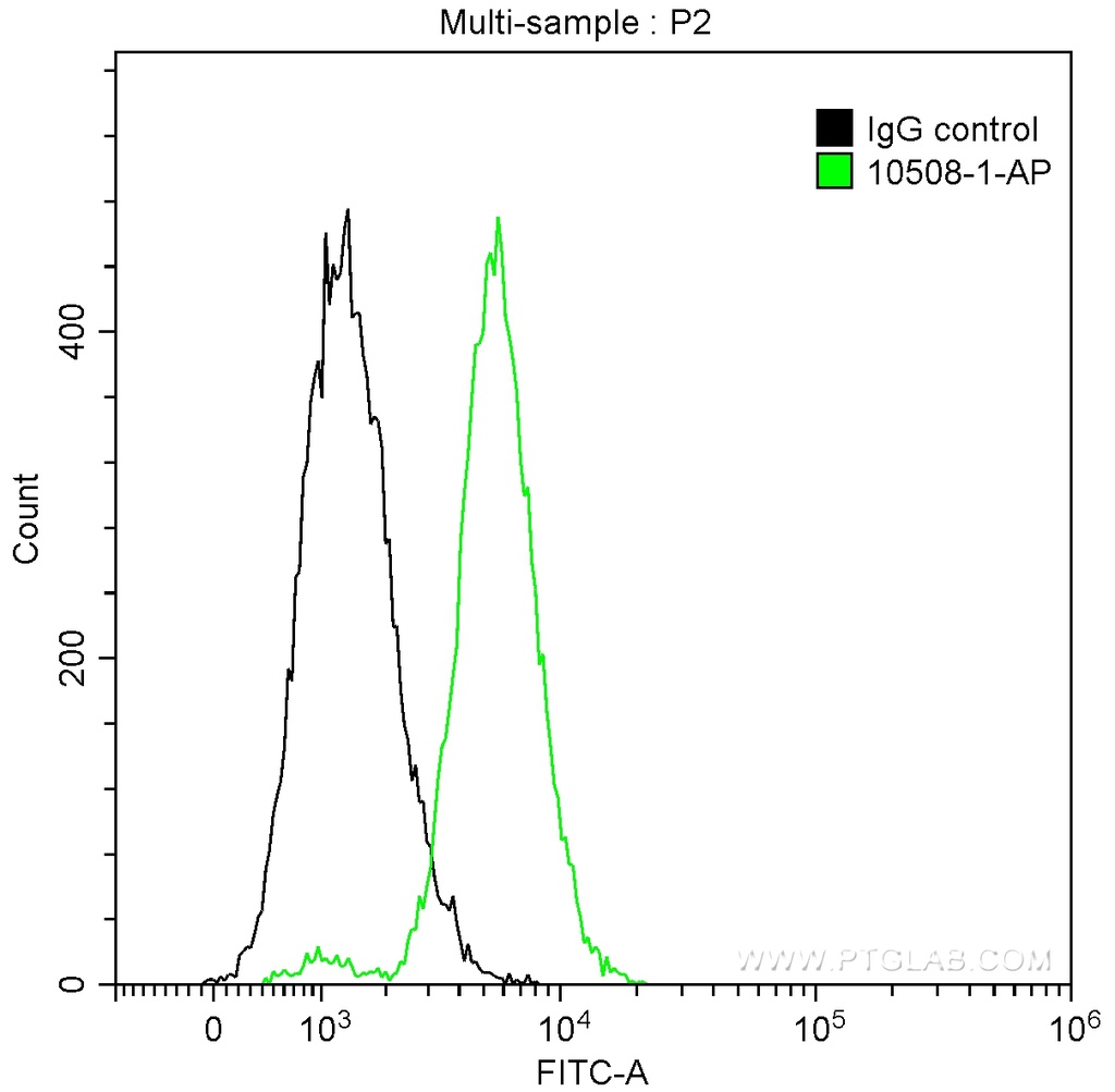 SURVIVIN Polyclonal antibody