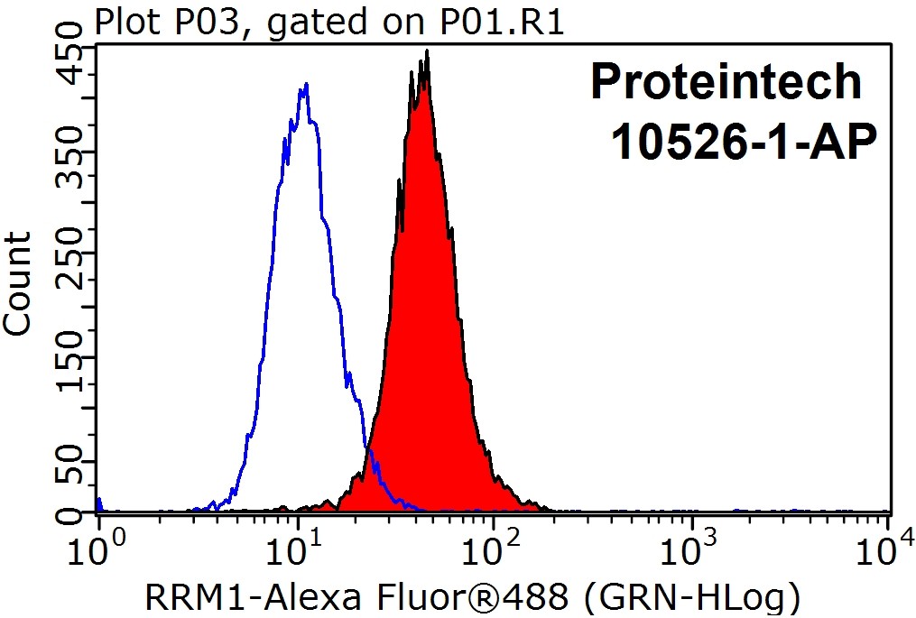 RRM1 Polyclonal antibody