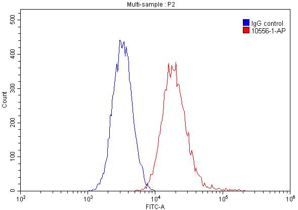 NCL Polyclonal antibody