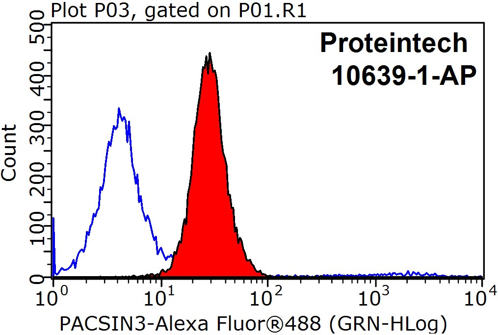 PACSIN3 Polyclonal antibody