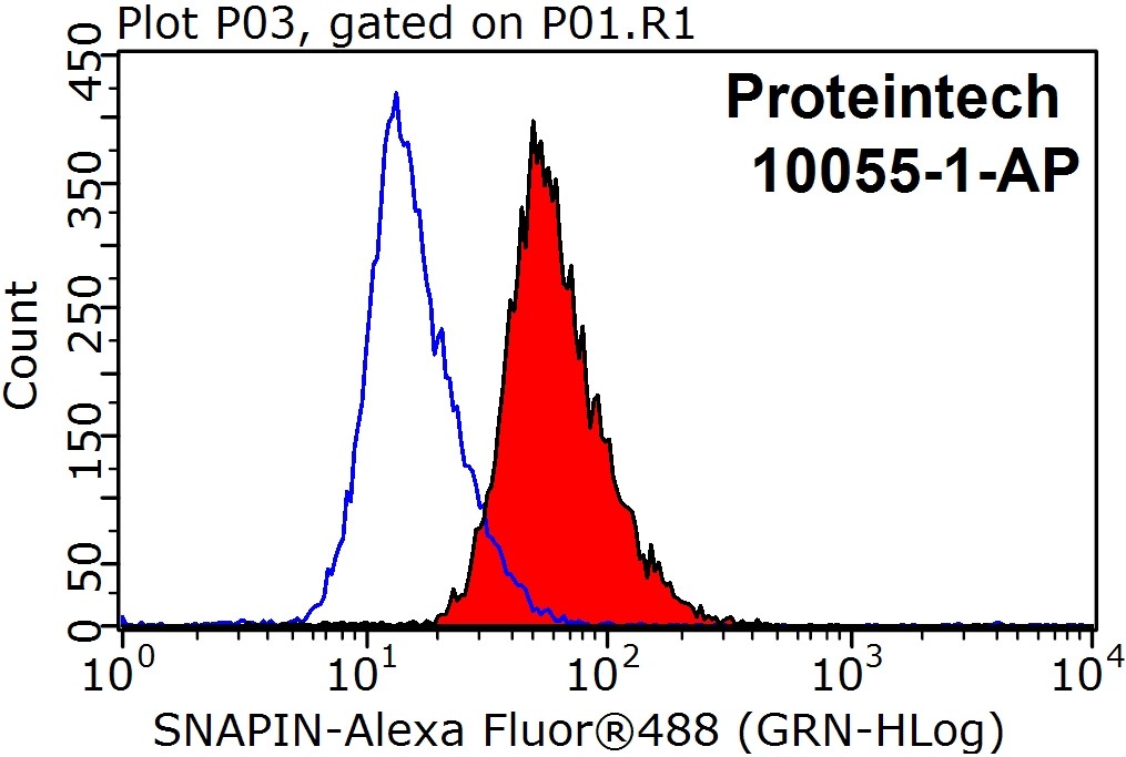 SNAPIN Polyclonal antibody