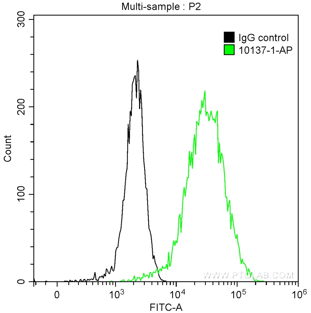 Cytokeratin 15 Polyclonal antibody
