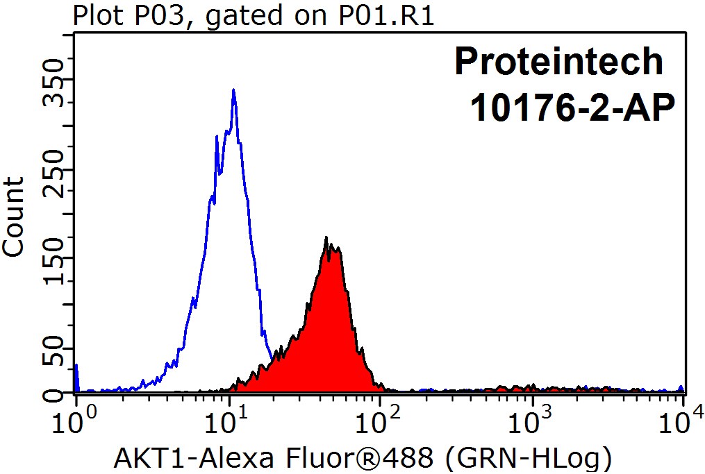 AKT Polyclonal antibody