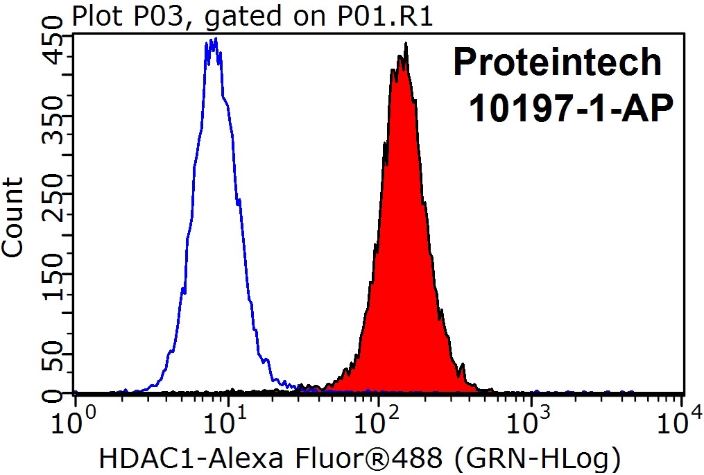 HDAC1 Polyclonal antibody