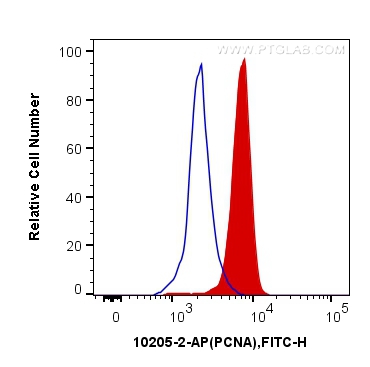 PCNA Polyclonal antibody