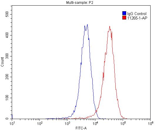 CD31 Polyclonal antibody