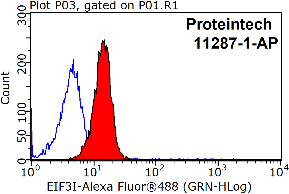 EIF3I Polyclonal antibody