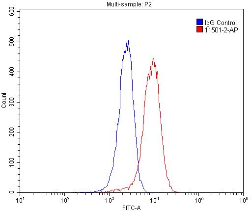 ASGR2 Polyclonal antibody
