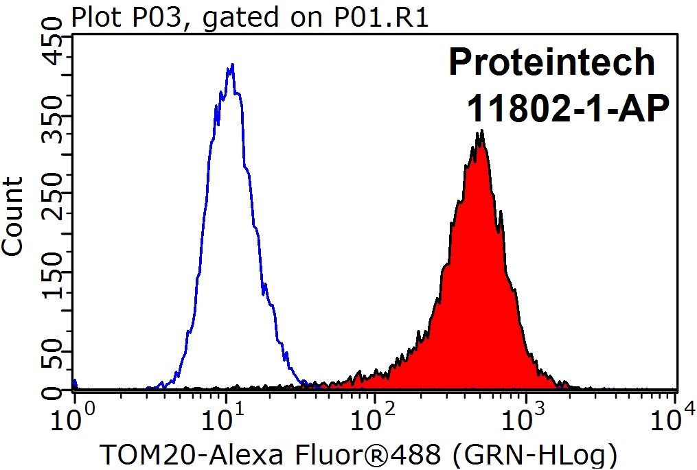 TOM20 Polyclonal antibody