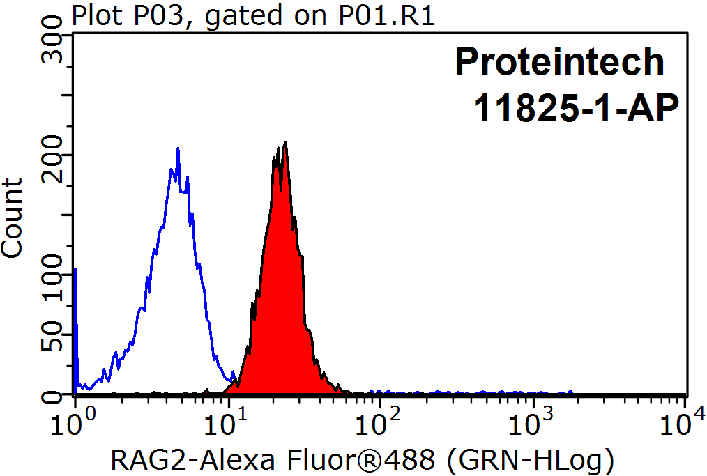 RAG2 Polyclonal antibody