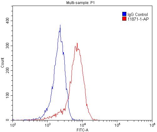 SH2D1B Polyclonal antibody