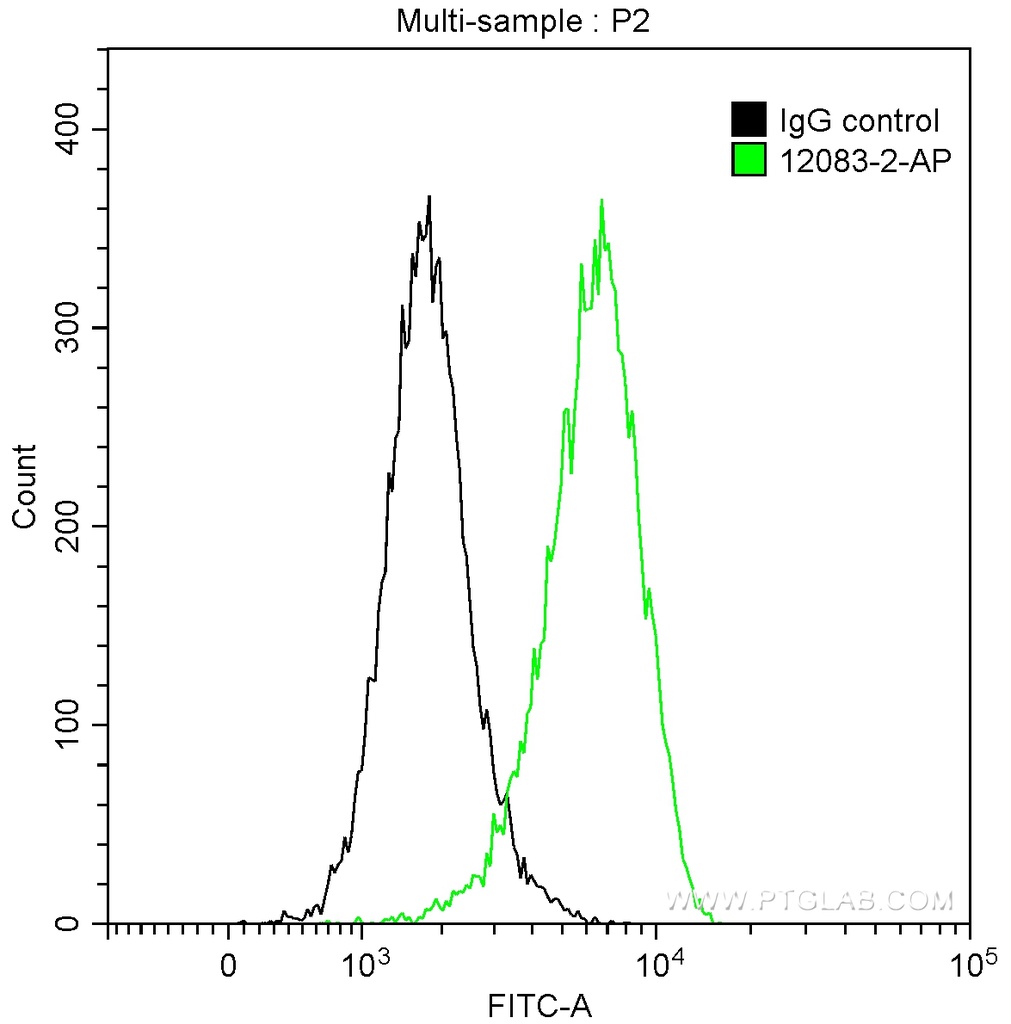 CD164 Polyclonal antibody
