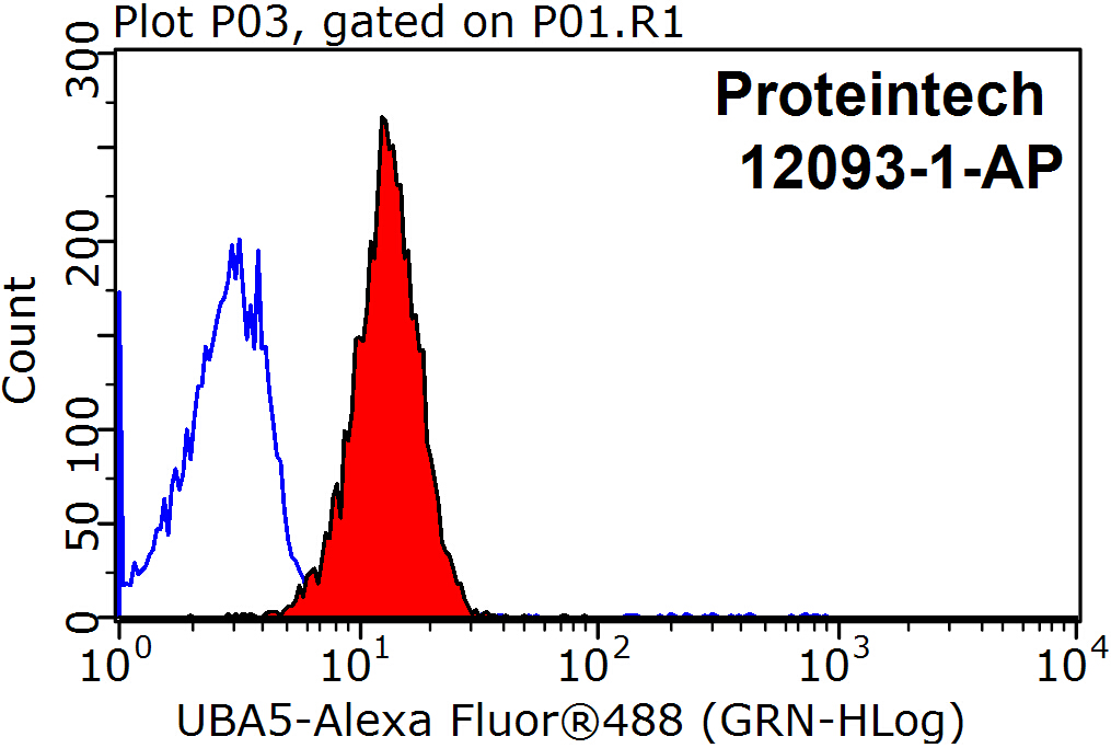 UBA5 Polyclonal antibody