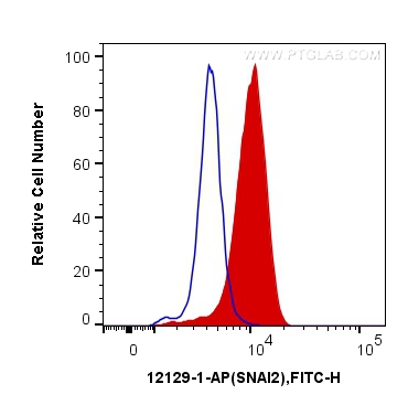 SNAI2 Polyclonal antibody
