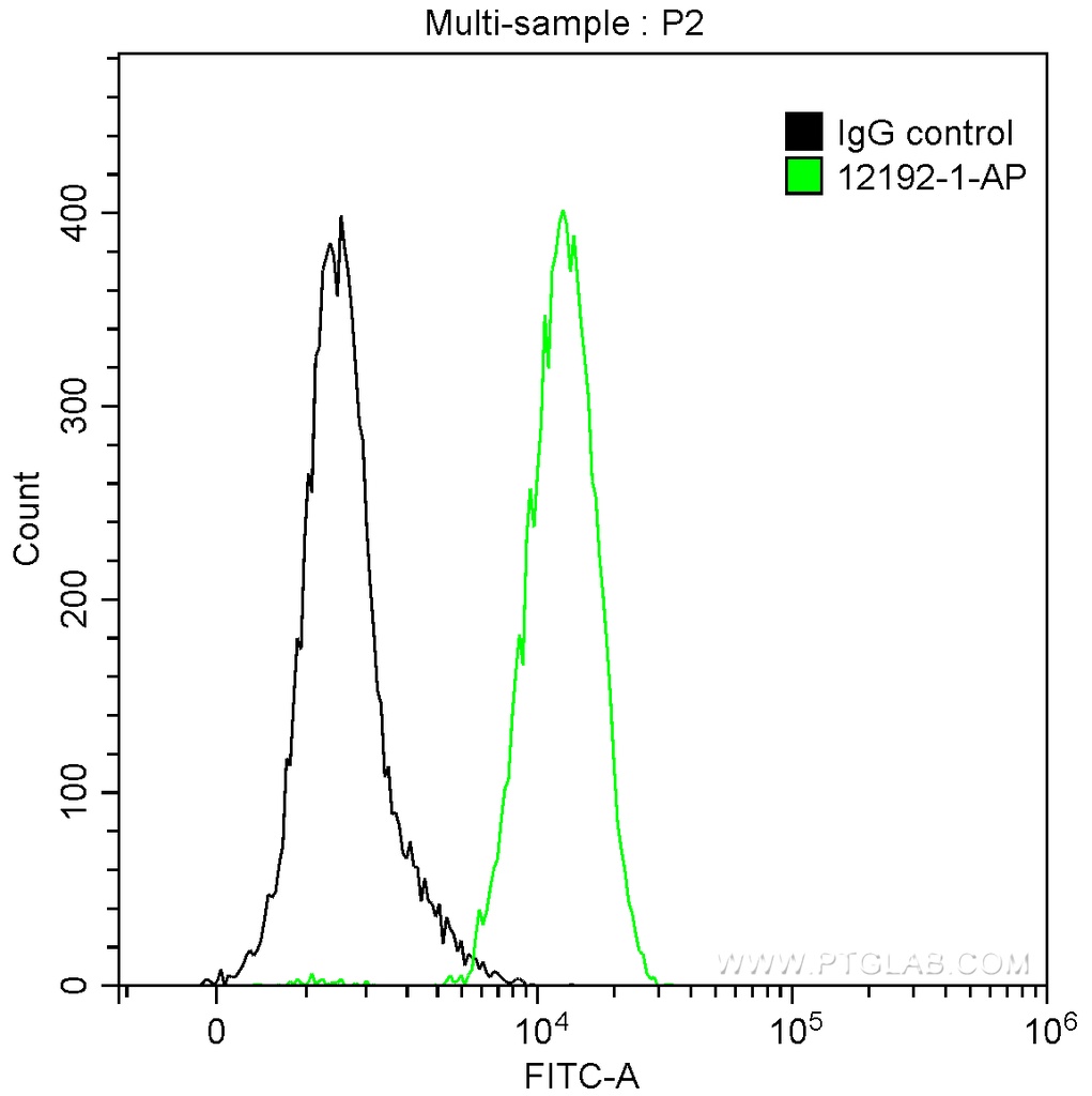 Alpha Antichymotrypsin Polyclonal antibody
