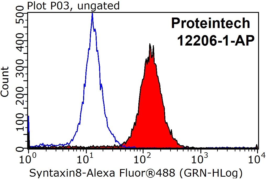 Syntaxin 8 Polyclonal antibody