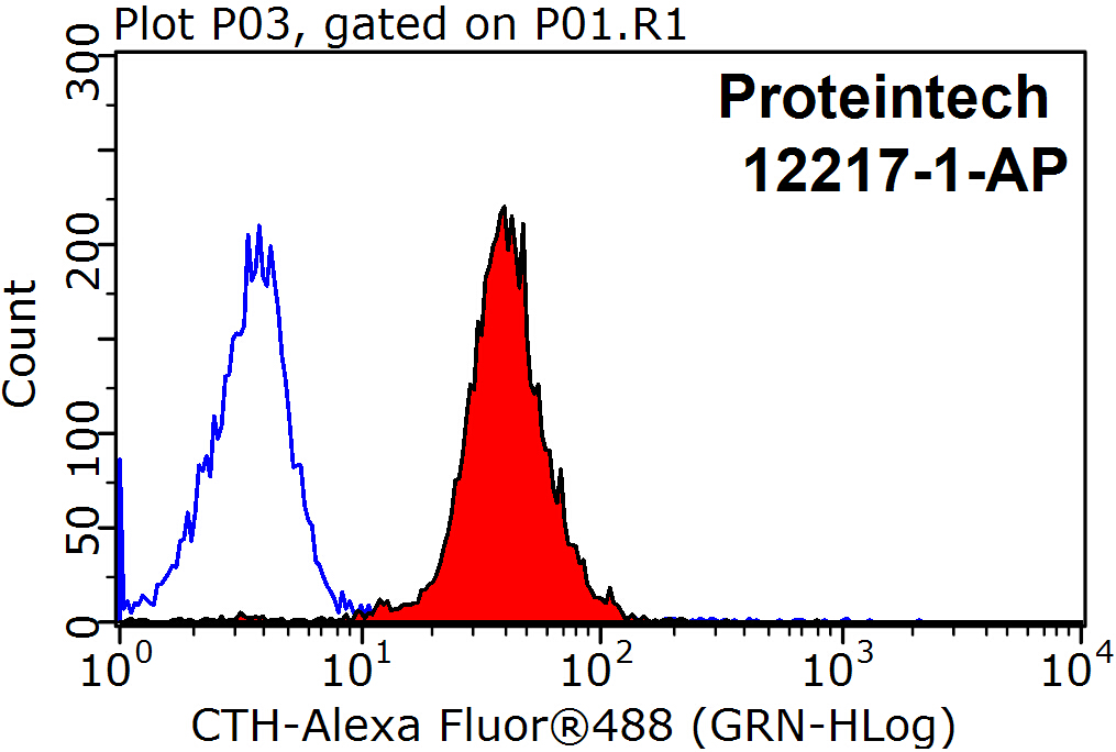 Gamma Cystathionase Polyclonal antibody