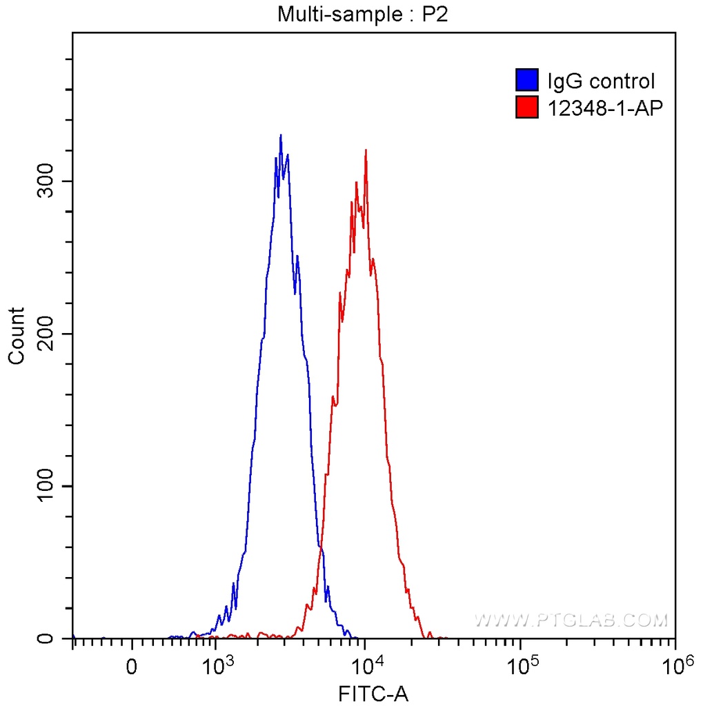 FABP5 Polyclonal antibody