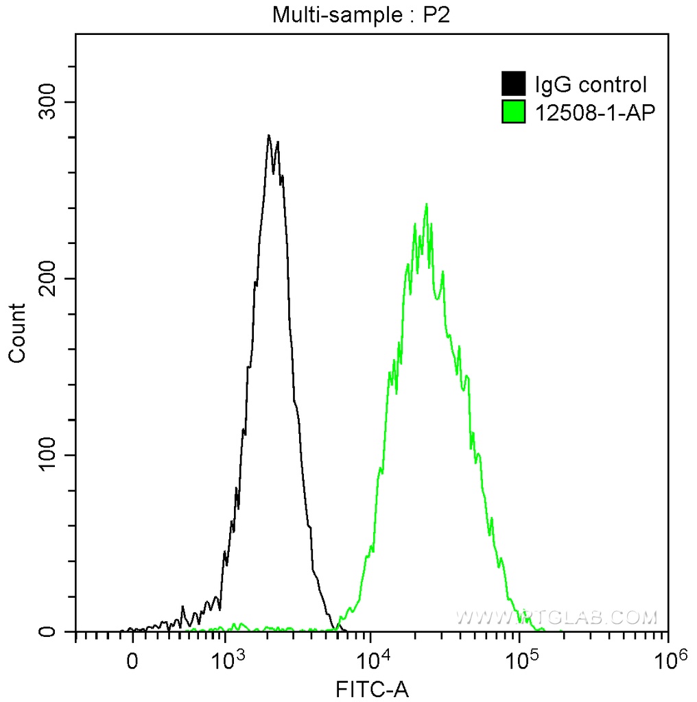 MAGEA4 Polyclonal antibody