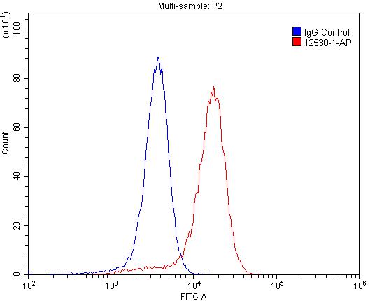 RRAS2 Polyclonal antibody