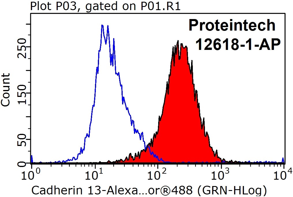 Cadherin-13 Polyclonal antibody