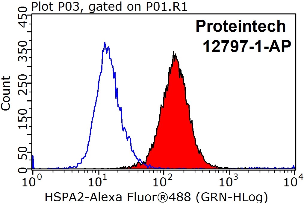 HSPA2 Polyclonal antibody