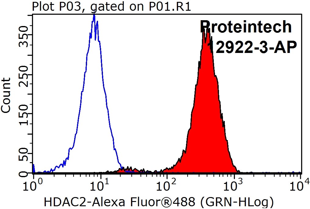 HDAC2 Polyclonal antibody