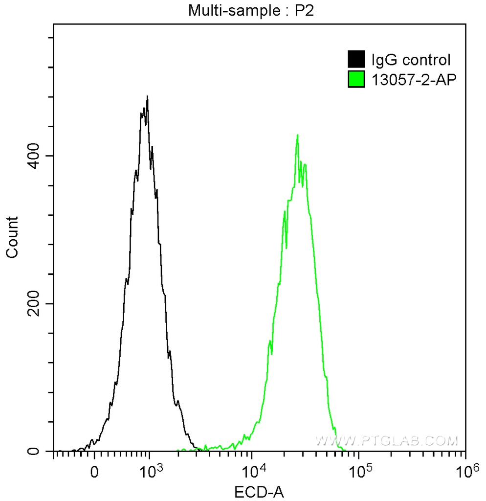 G3BP1 Polyclonal antibody