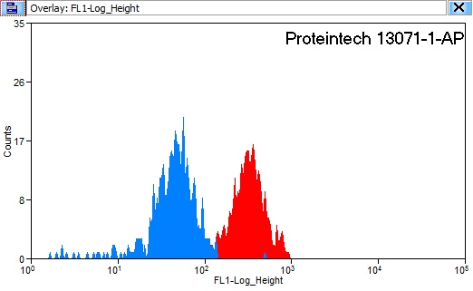 CD97 Polyclonal antibody