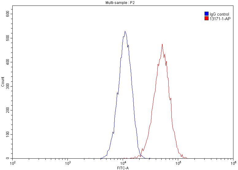 HSP90 Polyclonal antibody