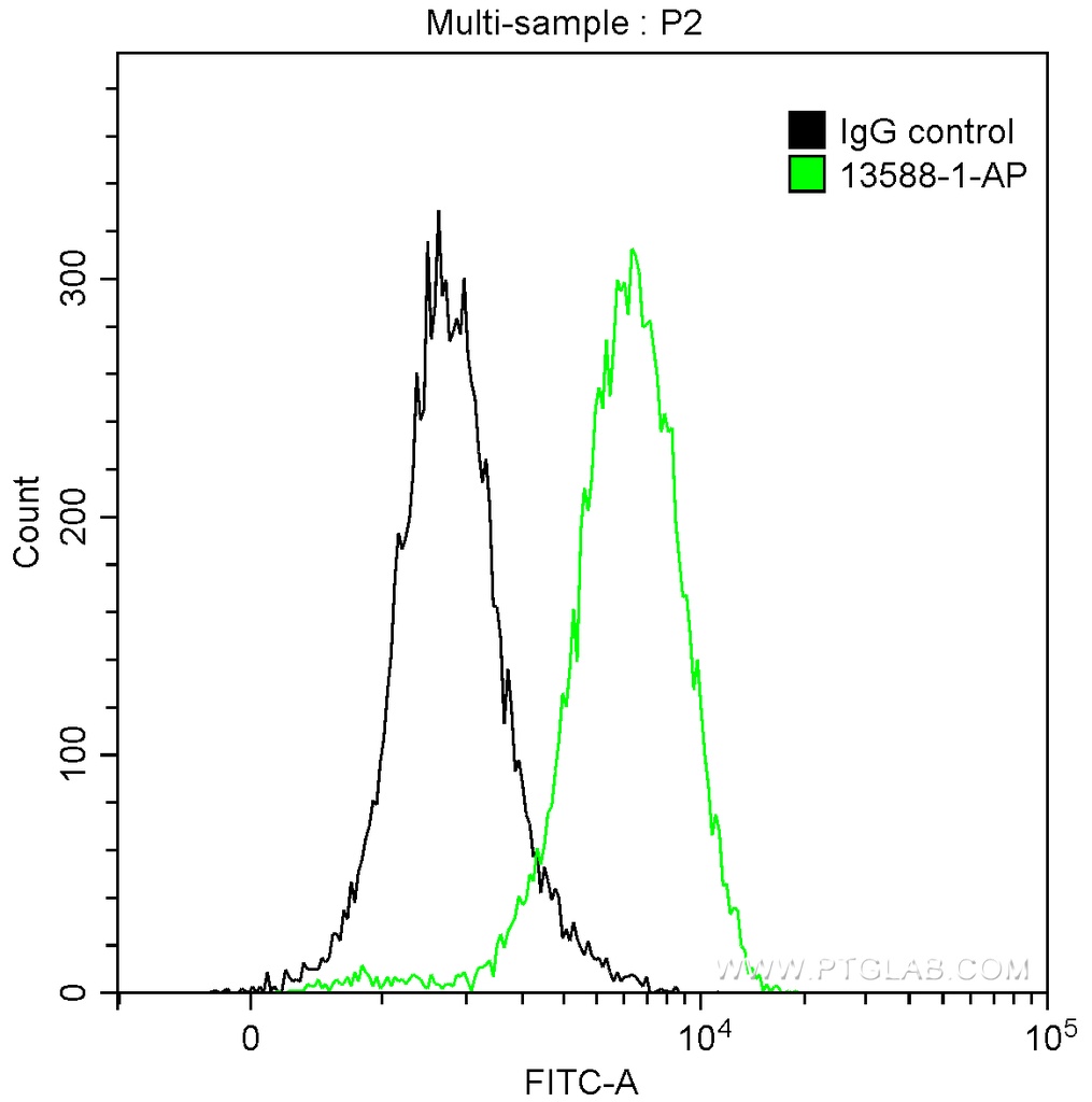 Granzyme B Polyclonal antibody