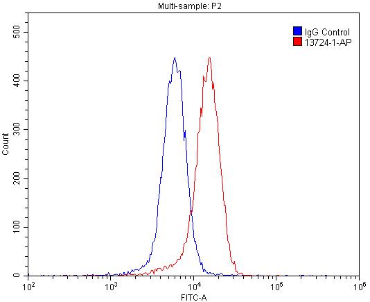 EPHA8 Polyclonal antibody