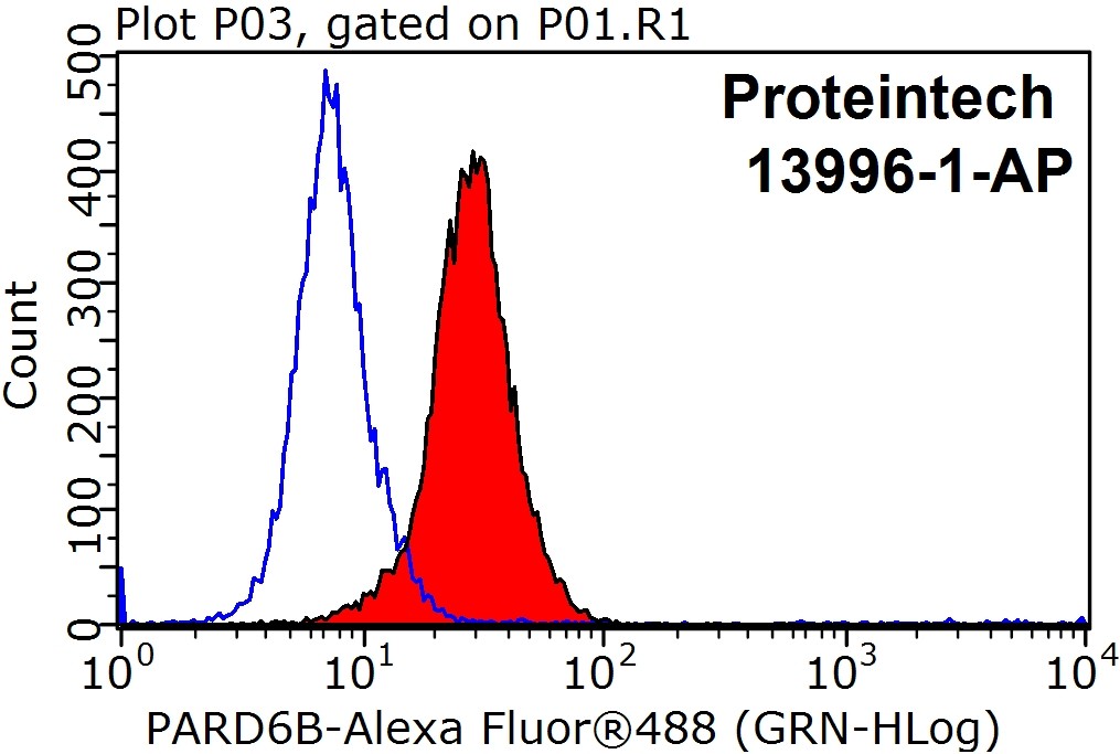 PARD6B Polyclonal antibody