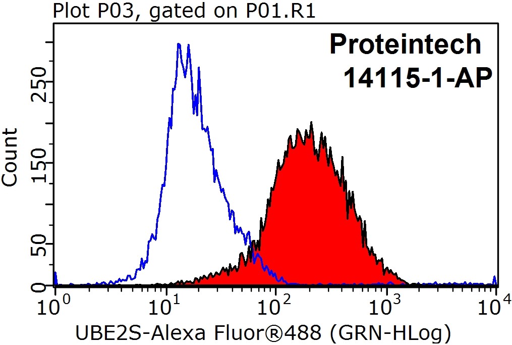 UBE2S Polyclonal antibody