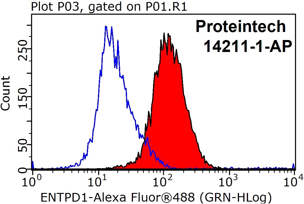 CD39/ENTPD1 Polyclonal antibody
