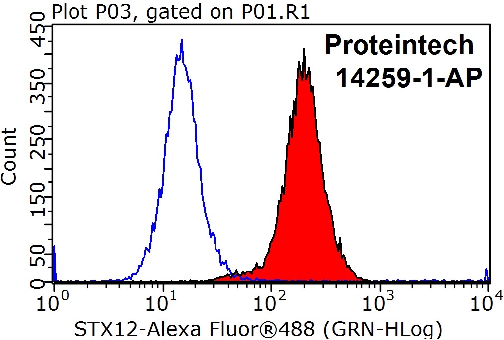 Syntaxin 12 Polyclonal antibody