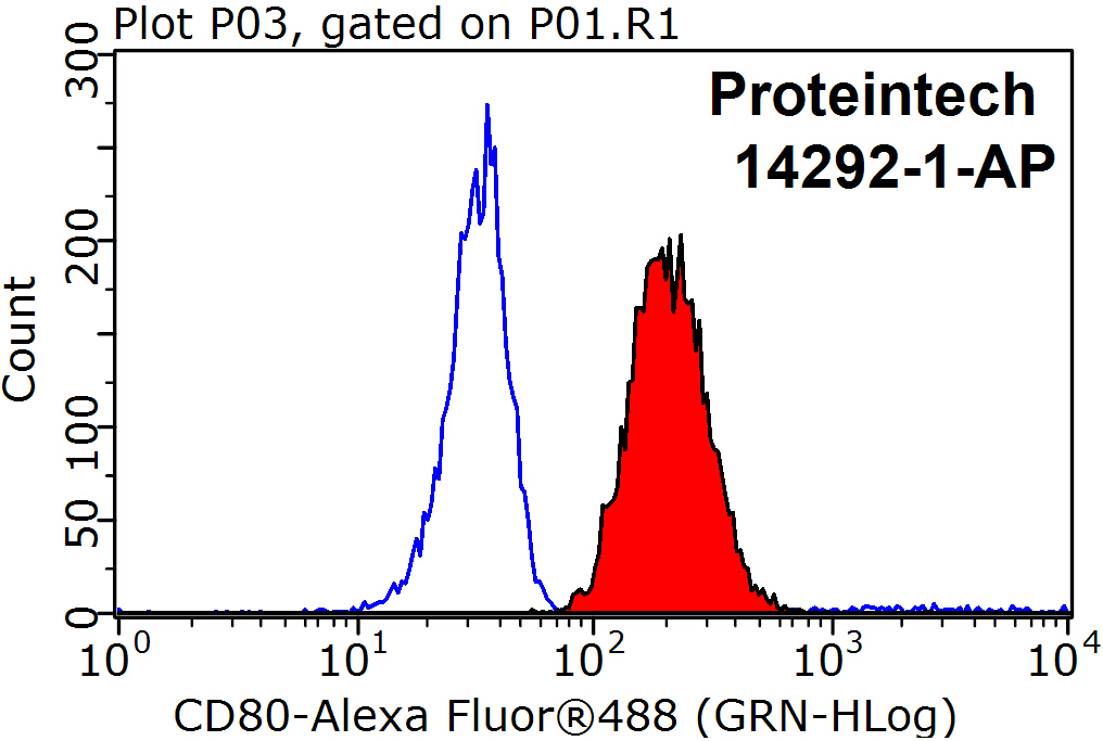 CD80/B7-1 Polyclonal antibody