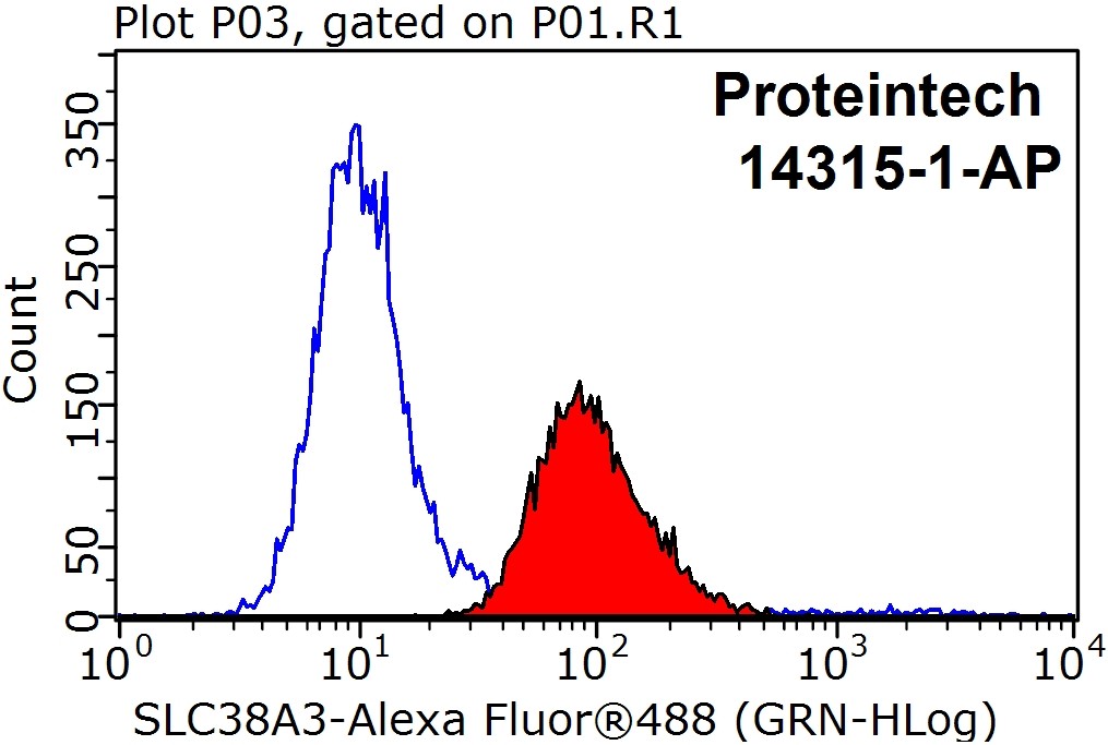 SLC38A3 Polyclonal antibody