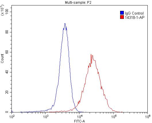 Thrombomodulin Polyclonal antibody
