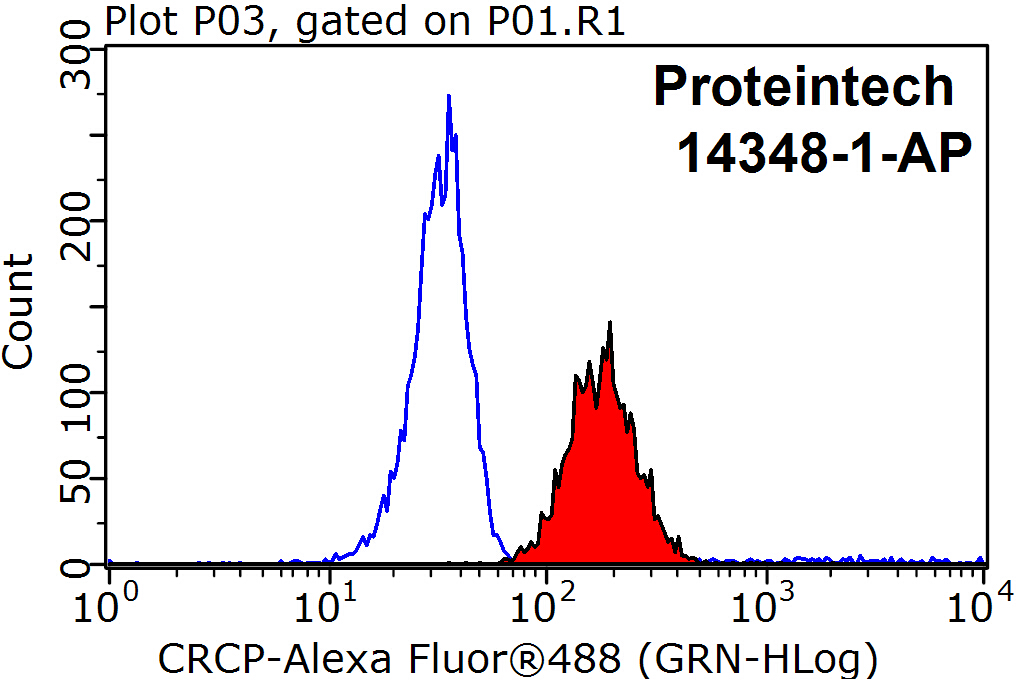 CRCP Polyclonal antibody