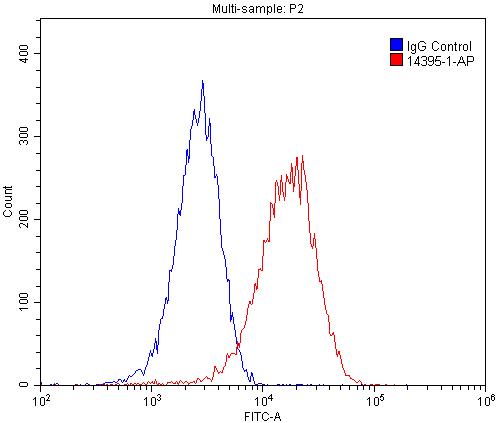 smooth muscle actin Polyclonal antibody